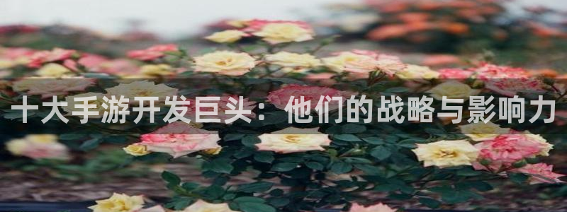 摩根娱乐这个平台怎么样啊知乎：十大手游开发巨头：他们的战略与