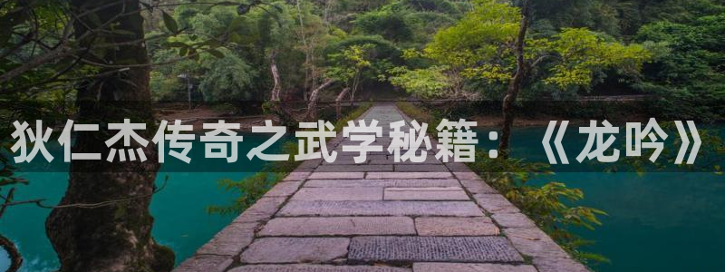 摩根娱乐首页：狄仁杰传奇之武学秘籍：《龙吟》