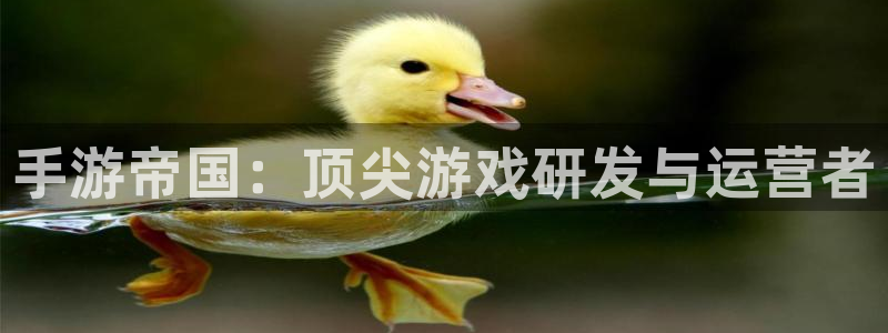 摩根娱乐这个平台怎么样呀知乎：手游帝国：顶尖游戏研发与运营者