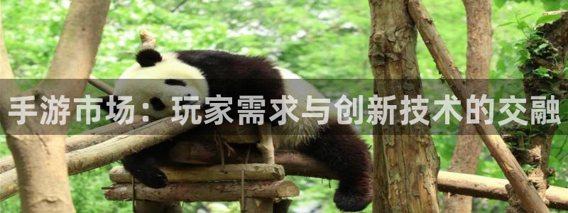摩根娱乐会所：手游市场：玩家需求与创新技术的交融