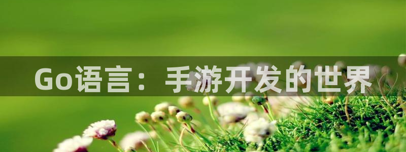 摩根娱乐挂机项目怎么样：Go语言：手游开发的世界