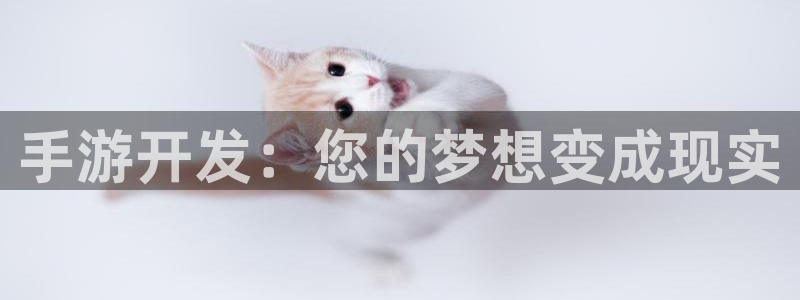 摩根娱乐挂机教程下载：手游开发：您的梦想变成现实