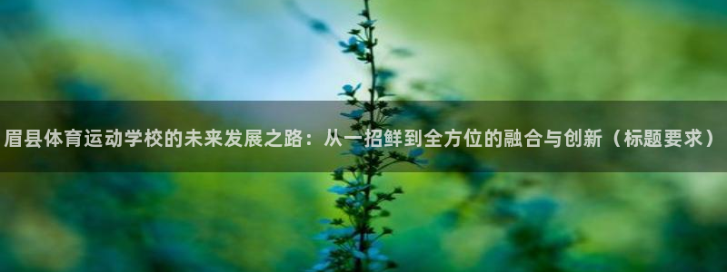 哈哈体育十年：眉县体育运动学校的未来发展之路：从一招鲜到全方位的融合与创新（标题要求）