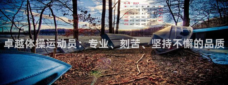 哈哈体育十年：卓越体操运动员：专业、刻苦、坚持不懈的品质