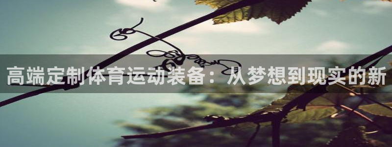哈哈体育下载：高端定制体育运动装备：从梦想到现实的新