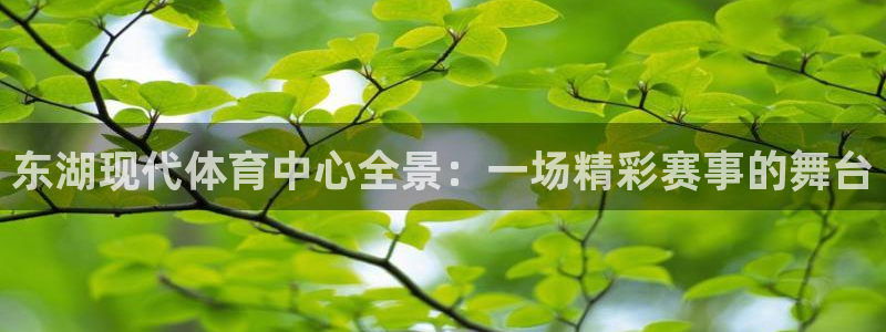 哈哈体育下载：东湖现代体育中心全景：一场精彩赛事的舞台
