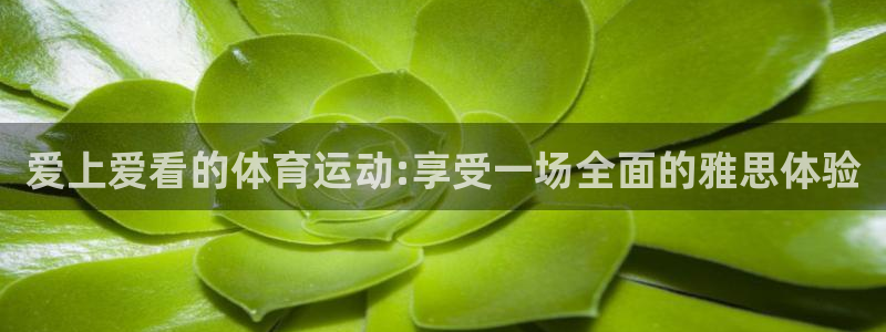 哈哈体育十年：爱上爱看的体育运动:享受一场全面的雅思体验