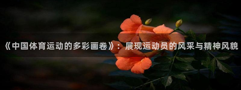 哈哈体育十年：《中国体育运动的多彩画卷》：展现运动员的风采与精神风貌