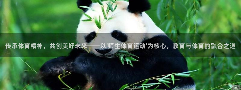 哈哈体育下载：传承体育精神，共创美好未来——以\'师生体育运动\'为核心，教育与体育的融合之道