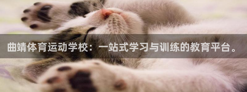 哈哈体育下载：曲靖体育运动学校：一站式学习与训练的教育平台。