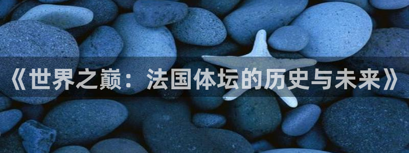 哈哈体育：《世界之巅：法国体坛的历史与未来》