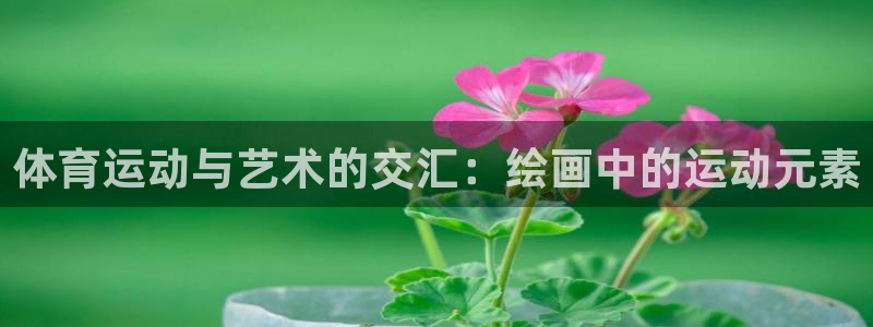 哈哈体育下载：体育运动与艺术的交汇：绘画中的运动元素