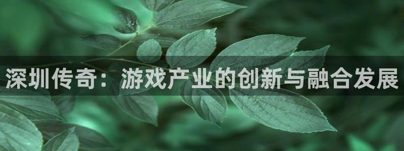 摩根娱乐app下载官网安装苹果：深圳传奇：游戏产业的创新与融
